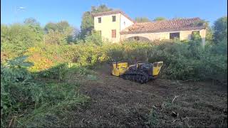 Disboscamento di area incolta con Robogreen Energreen  Verdest srl [upl. by Laehcor]