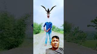 Head flying Eagle 🦅shortsfunnycomedyMagicVfx [upl. by Pravit]