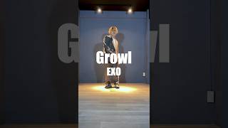 EXO  Growl exo growl 엑소 으르렁 revival reels tiktok [upl. by Eisdnyl865]