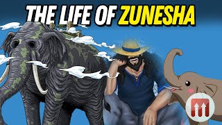 One Piece The Life of Zunesha [upl. by Grussing]