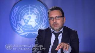 Vicent Chetail on the Principle of Nonrefoulement in International Law [upl. by Fagaly]