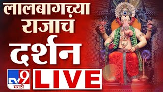 Lalbaugcha Raja LIVE  लालबागच्या राजाचे दर्शन लाईव्ह  Mumbai Ganeshotsav 2024  tv9 marathi live [upl. by Otrevlig]