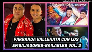 LOS EMBAJADORES DEL VALLENATO EN VERSION PARRANDA VOL 2  OMR [upl. by Anaeel443]