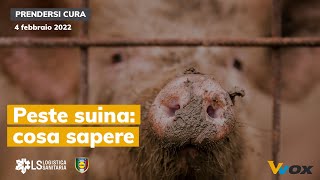 PESTE SUINA COSA SAPERE [upl. by Skantze]