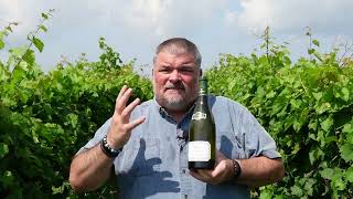 WONDERFUL La Chablisienne 2019 Les Venerables Chablis [upl. by Gun]