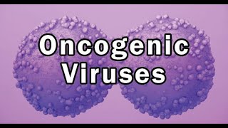 Oncogenic viruses microbiology [upl. by Beckie10]