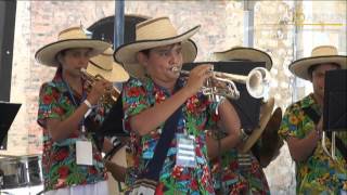 Banda Fiestera y Tradicional de la Palma Fiesta de Negritos [upl. by Kra]