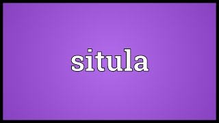 Situla Meaning [upl. by Leinahtan]