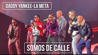 Somos de Calle liveen vivo La MetaDaddy Yankee 11223 [upl. by Mair]