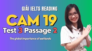 Giải Reading Cam 19 Test 3 Passage 2 The Global Importance of Wetlands IELTS Thanh Loan [upl. by Azral115]