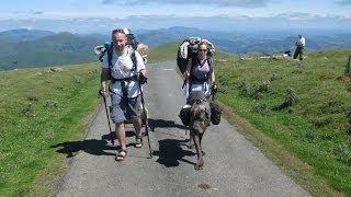 De Saint JeanPiedePort a Roncesvalles  Roncevaux  Camino de Santiago HD 4244 [upl. by Sokcin835]