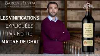 Découvrir le processus de vinification  Introduction [upl. by Godfree]