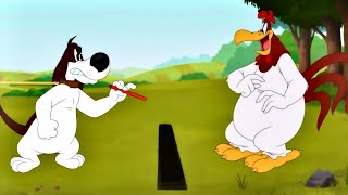 Foghorn Leghorn Pea Shooter Looney Tunes Cartoons Season 4 [upl. by Ahsinot]