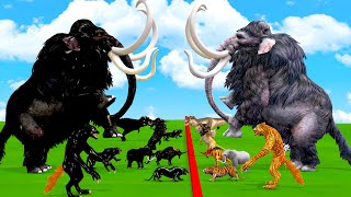 10 White Mammoth Elpehant vs Prehistoric Mammals vs White Albino Animals Size Comparison [upl. by Sidonnie320]