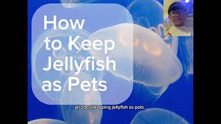 How to keep jellyfish as pets [upl. by Eerbua]