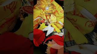 Phoolon Mein Saj Rahe Hai Shri Vrindavan Bihari Laddu Gopal short video [upl. by Ecraep426]