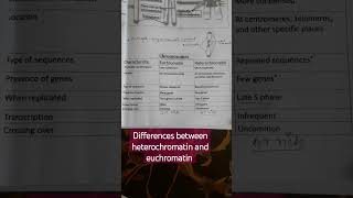 differences between heterochromatin and euchromatin region [upl. by Nylanaj897]