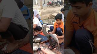 amazing Rui fish speedcutting fish fishcuttingskill [upl. by Etiragram696]