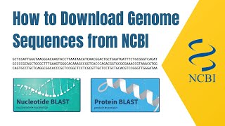 how to download genome sequences from NCBI [upl. by Suzanna]