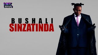 Bushali  SINZATINDABMK Lyrics Lyrics [upl. by Llerihs]