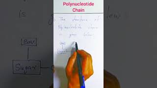 Structure of polynucleotide chain [upl. by Aggappora]