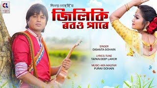 Jiliki Robou Pare  Diganta Gohain  New Bihu Song 2024  New Bihu Video 2024 [upl. by Esma227]