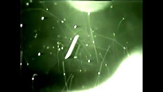 NASA STS75 Tether Incident  UFO flightpath tracking stabilization  Extended Version [upl. by Ameen754]