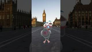 POV TAKING BIRD IN LONDON PARIS 4u scene story tuesday [upl. by Sanger]