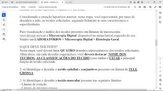 2 a Identifique e desenhe oÂ tecido epitelialÂ eÂ conjuntivosÂ presentes na lÃ¢mina deÂ PELE GROSSA [upl. by Panta]