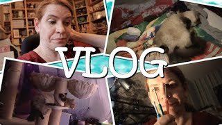 Vlog Der Tag verlief anders als geplant [upl. by Leynwad]