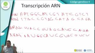 Clases de Biología  Código Genético II [upl. by Anaerol]