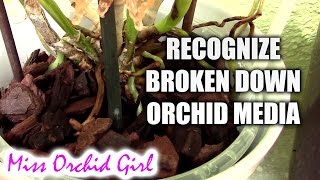 How to recognize broken down orchid media [upl. by Shimkus]