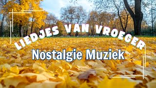 Oude Nederlandse Liedjes 🍁 Hollandse Liedjes 🍁 Meest Beluisterde Muziek Uit Nederland [upl. by Aivatnuhs]