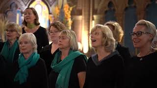 20230930 Hallelujah Children Berlin Gospelchor  quotHallelujahquot in der ApostelPaulusKirche [upl. by Ahseel]