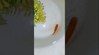 Platy Fish Babies  Meri Platy Fish Ny bachy Dy Diye  50 platy fish Fries [upl. by Vivianna]