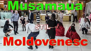 Musamaua in Stil Moldovenesc  Petru Ursache Evenimente [upl. by Enimassej323]