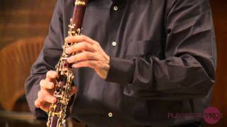 Clarinet lessons with Charles Neidich 2nd clarinet sonata Brahms [upl. by Akerdnahs]