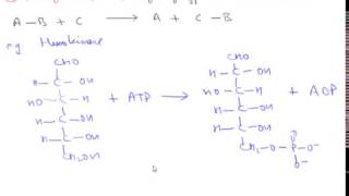 Enzyme Classification Hindi [upl. by Bach]