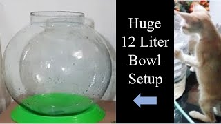 how to set up biggest fish bowl  12 Litre   Fish bowl setup  Aquarium setup  easy bowl setup [upl. by Niven]