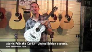 Martin Felix Acoustic Guitar  PMTVUK [upl. by Fagaly]