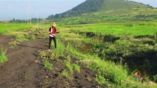 Boharaa Birhanuu Salalee Bahufanii NEW Oromo music 2018 [upl. by Bianka403]