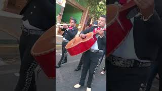 Mariachi oro y plata de el salvador [upl. by Teuton800]