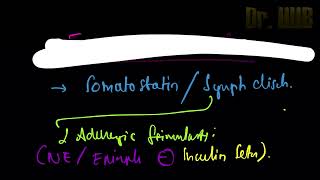 Factors inhibiting insulin secretion [upl. by Cheria232]