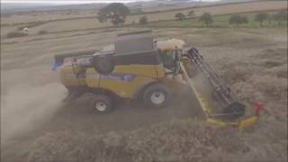 R C Bramwell Horsley Newcastle Upon Tyne cutting OSR with a New Holland CX8090 combine [upl. by Ivie]