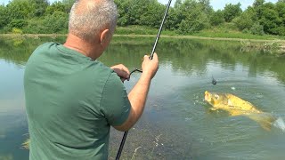 Pecanje soma šarana i štuke kod Čačka  Zapadna Morava jezero Samaila i Međuvršje FULL VIDEO [upl. by Siaht]