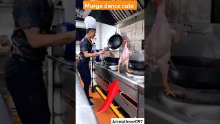 Murga dance Viral videos music remix djremix मुर्गा murgadancedjsong dance trandingshorts [upl. by Nedroj582]