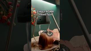 Ultra Relaxing Head Spa in Tokyo 🧖‍♀️ [upl. by Jarid401]