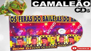 CD Os Feras Do Baile Contagiando No Forró Ao Vivo Bom D [upl. by Dominy992]