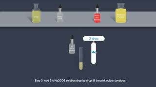 Urea  Urease test [upl. by Dunson]