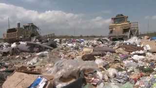 Tossed Out Food Waste in America [upl. by Fridell]